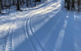 Groomed Ski Trail